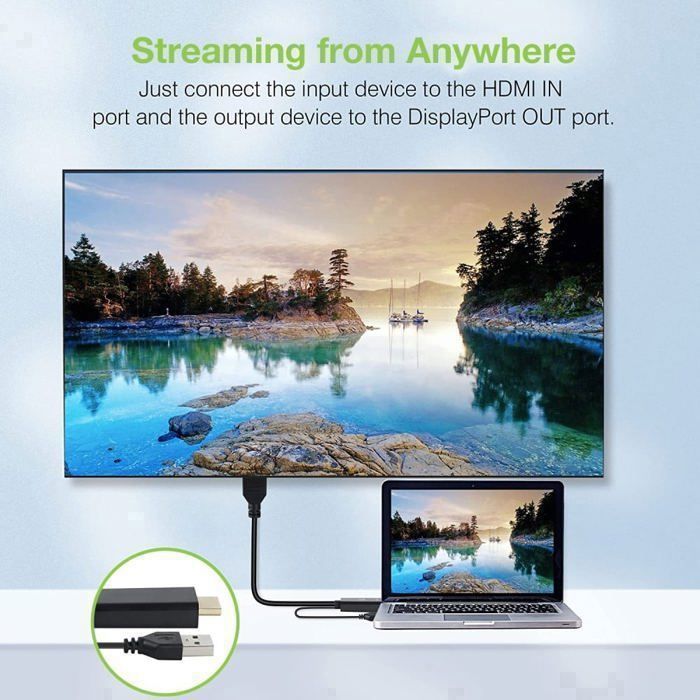 Adaptateur HDMI vers DisplayPort - Haute Qualité - 4K - Alimentation USB - Compatible PC/Xbox/PS4