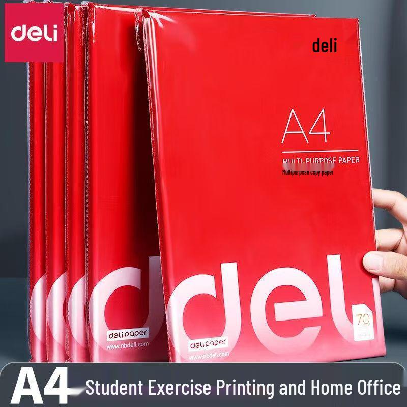 Deli Rhine 7419 Double-Sided 80G Printing Paper - Student & Office Use