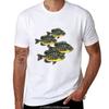 T-shirts e tops – T-Shirts