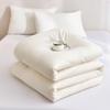 Jieliya Textured Cotton Antibacterial Winter Quilt