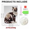 Pearl Painting Kit Domestic Cat Theme Frameless Handicraft DIY Bedroom Decoration Living Room Wall Art Room Decoration Art Craft Decoration