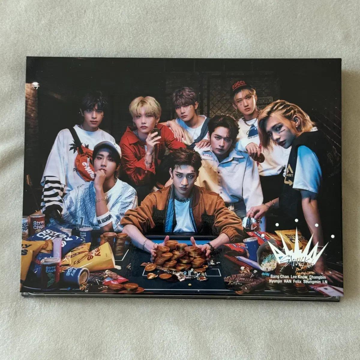 

STRAY KIDS Release ALL IN Japan Limited Edition A Album Used