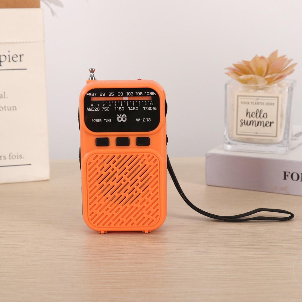 Mini Portable Pointer FM AM Radio LED Flashlight Stable Signal DSP Radios Rechargeable Bluetooth Speaker Earphones Listening Ra