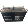 VISION V Long-Life CP Series 12V 100Ah Lead-Acid Battery CN Plug (adapter Included)