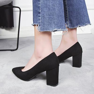 Basic High Heels Women's 2024 Autumn and Winter New Thick Heel Pointed Suede Single Shoes Fashionable and Simple Work Shoes
