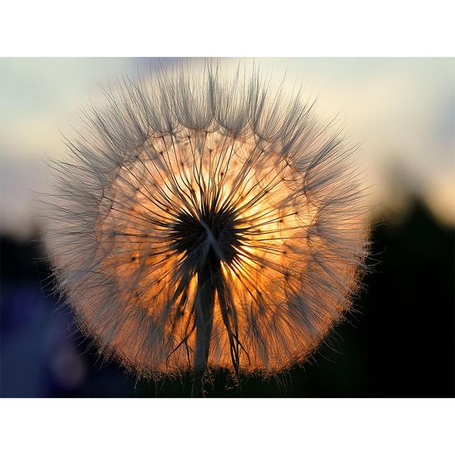 5D Diamond Painting Flower Rhinestone Picture Full Round Diamond Embroidery DIY Mosaic Art Decoration Rhinestone Gift