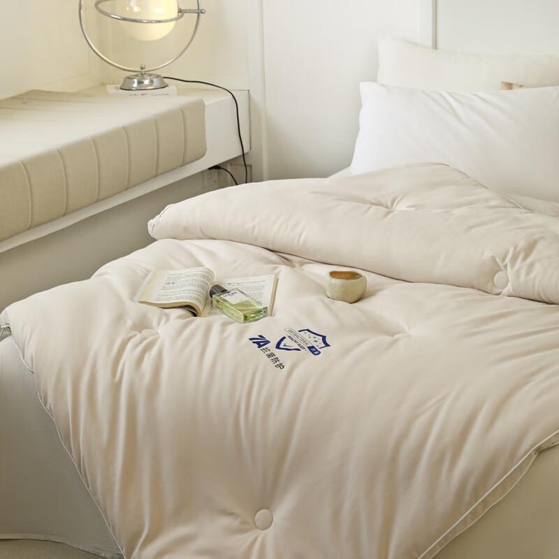 Southern Living 7A Antibacterial Skin-Friendly Winter Quilt