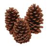 7-15CM Large Pine Cone Christmas Ornaments & Photography Props