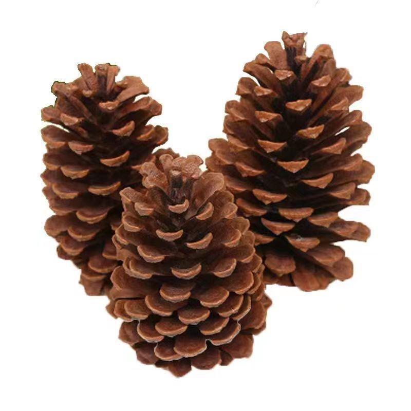 7-15CM Large Pine Cone Christmas Ornaments & Photography Props