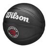 Wilson Childrens/Kids Team Tribute Toronto Raptors NBA Mini Basketball