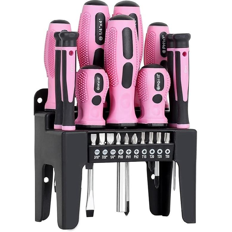 FASTPRO 21-Piece Magnetic Screwdrivers Set with Organizer Rack, Slotted Phillips Screwdrivers and Precision Screwdrivers, Repair Tool Kit for Women,