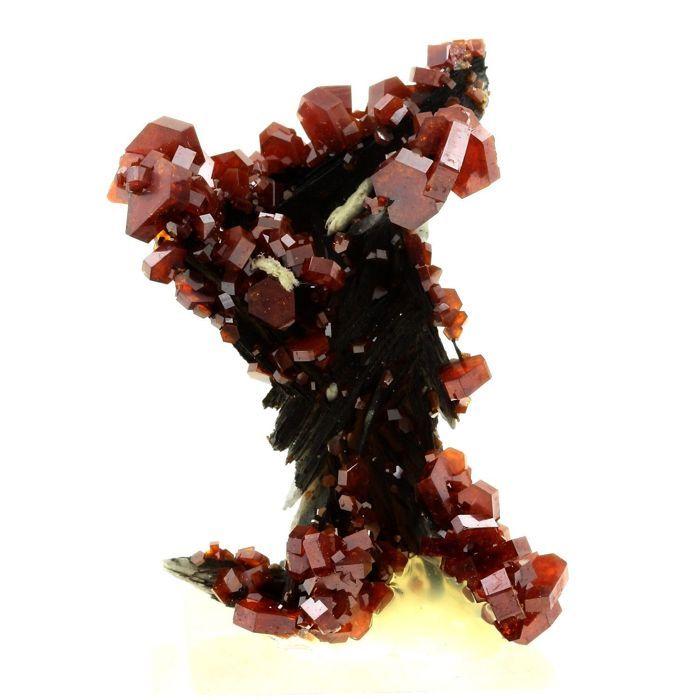 Pierres et Minéraux. Vanadinite + Baryte. 428.5 ct. Mibladen Mining District, Midelt, Maroc..