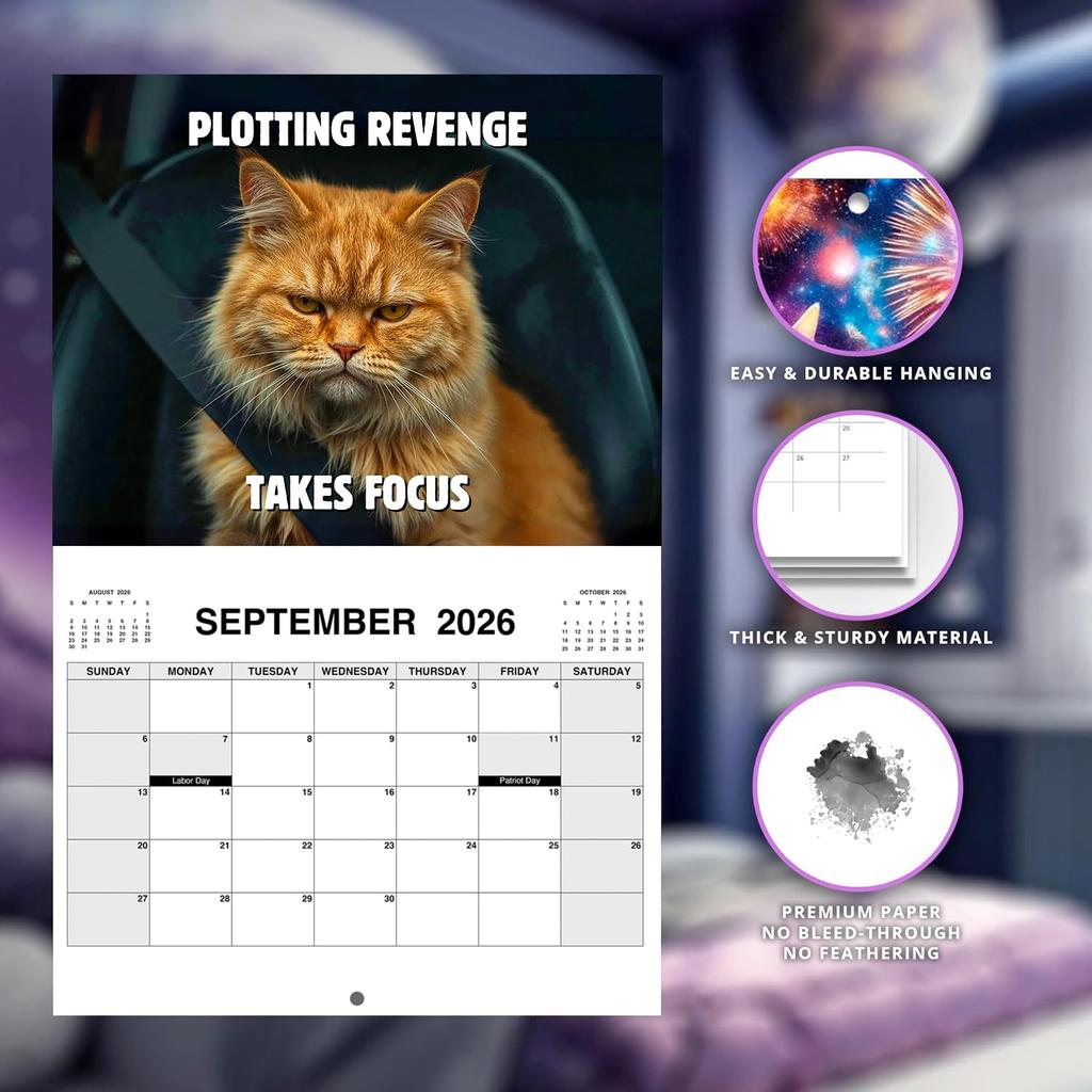 Peed-Off Cat Wall Calendar 2026 Funny Cat Meme Monthly Hanging Format  Home Office Decor New Year Gift 12 Monthly Family Planner
