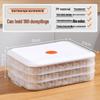 Dumpling & Wonton Freezer Storage Box for Fresh-Keeping and Quick-Freezing Noodles