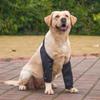 Pet Knee Pads for Joint Injury Recovery Legs Protector Dog Thigh Brace Wrap Adjustable Support Belt Post-operative Fixation