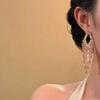 Cold Daughter Feeling Full of Diamond Tassel Earrings Light Luxury Antique Long Earrings Temperament Advanced Sense Dinner Party Exaggerated Earrings