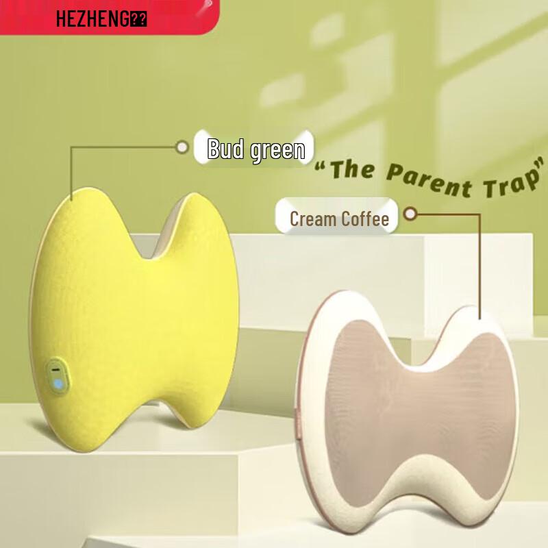 

HEZHENG Multi-function Heat Therapy Massager