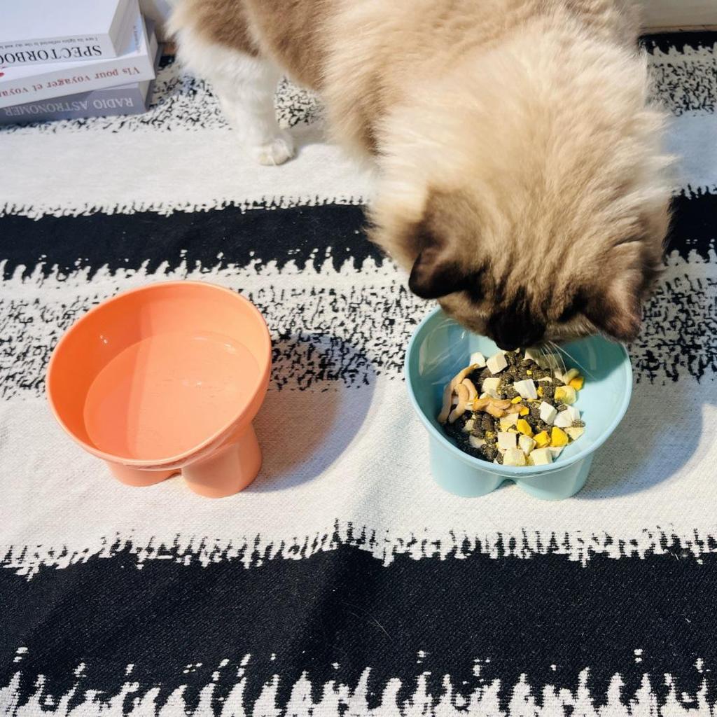 Macaron Colored Slanted Elephant Leg Pet Bowl - Elevated Plastic Cat & Dog Food Bowl with Neck Protection