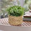 Green Artificial Plants Eucalyptus Grass Woven Small Potted Plants Grass Mound 11cm PE Material Home Decoration
