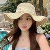 Wave Edge Lace Pearl Bow Straw Hat Women's Summer Seaside Sunshade Sunscreen Hat Large Brim Sun Hat Tide