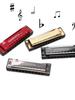 Miwayer-professional 10-hole harmonica, Metal organ for mouth, musical instruments for beginners