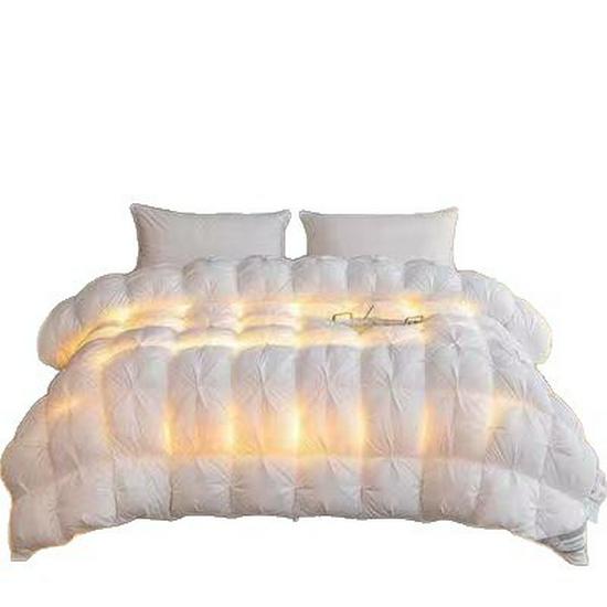 Luxury 95% White Goose Down Winter Quilt - Thick, All-Cotton, Five-Star Hotel Quality