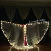 Dance Party LED Wings Lighted Dance Props New LED Belly Dance Accessories Props