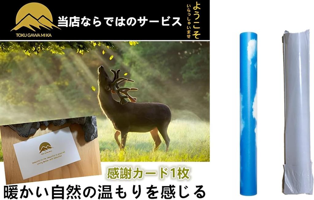 TOKUGAWAMIKA Dichtung Küche Neubezug Tapete Himmel und Weiß 45cm x 10m 60x5m Stilvolles Tuch DIY Renovierung Abnehmbar Waschraum Reparatur Akzent Toilette