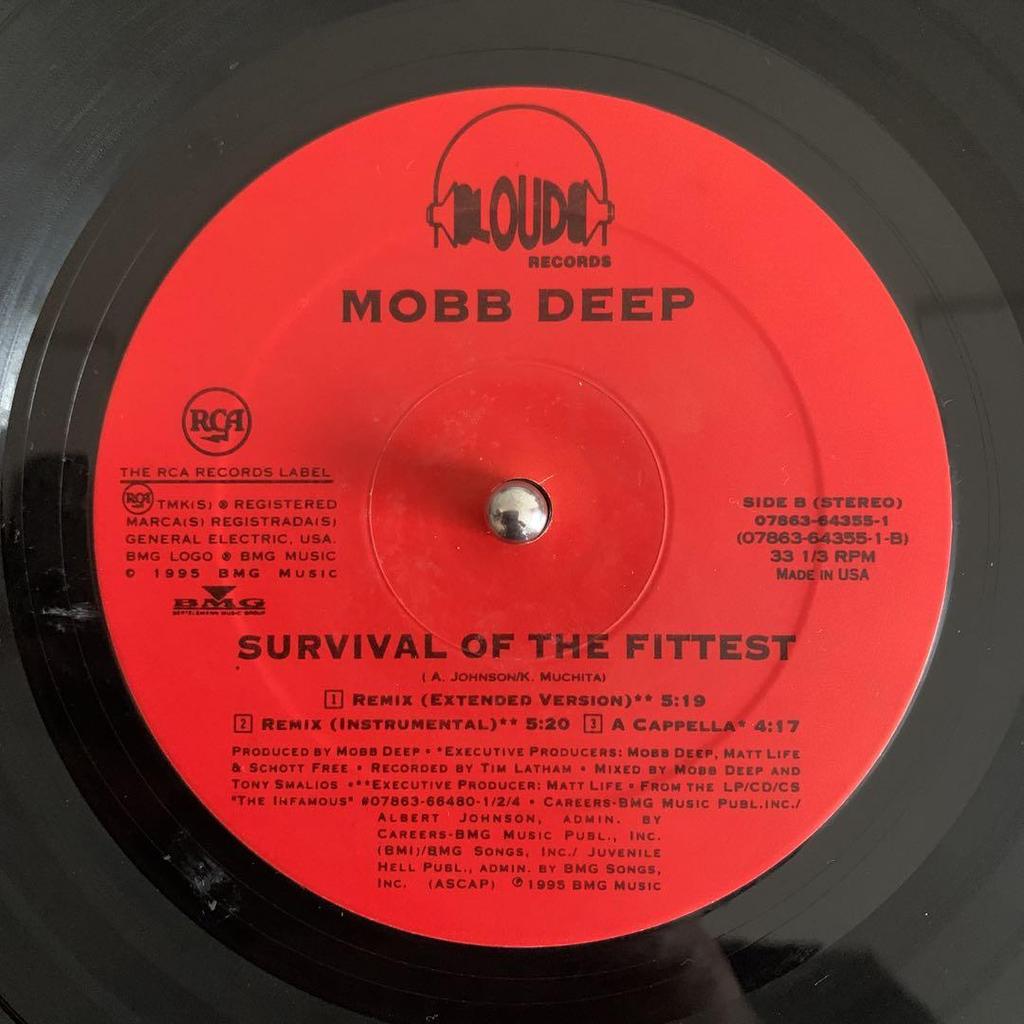 [GEBRAUCHT] Mobb Deep Survival of the Fittest