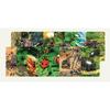 Curio Safari AR Card Insects and Spiders, popular Korean game