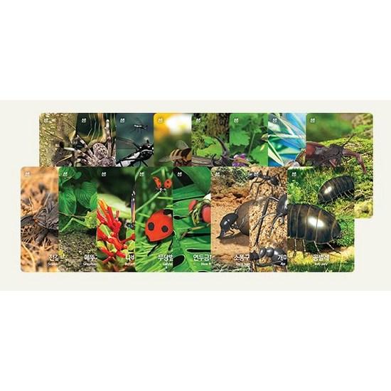 Curio Safari AR Card Insects and Spiders, popular Korean game