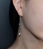 Loasi Lovely Rose. Rose Drop Chain Earring