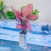 2Pcs Aquatic Plant Stands Fish Tank Flowerpot Plastic Aquarium Hanger Decorations Hydroponic Plants Baskets Fish Tank Accessory