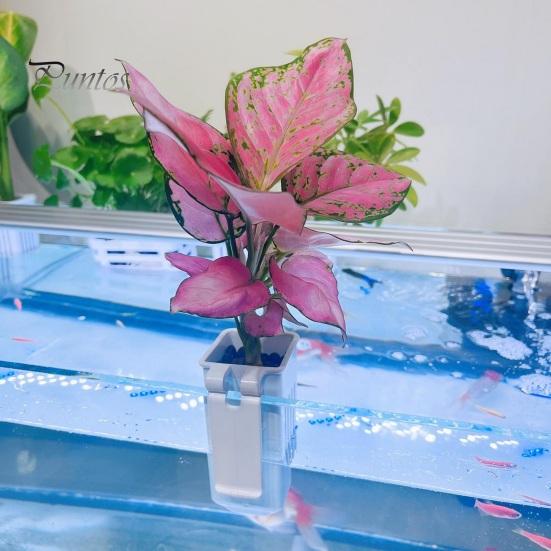 2Pcs Aquatic Plant Stands Fish Tank Flowerpot Plastic Aquarium Hanger Decorations Hydroponic Plants Baskets Fish Tank Accessory