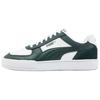 Caven Low Top Skateboard Shoes Unisex White Green 399398-04