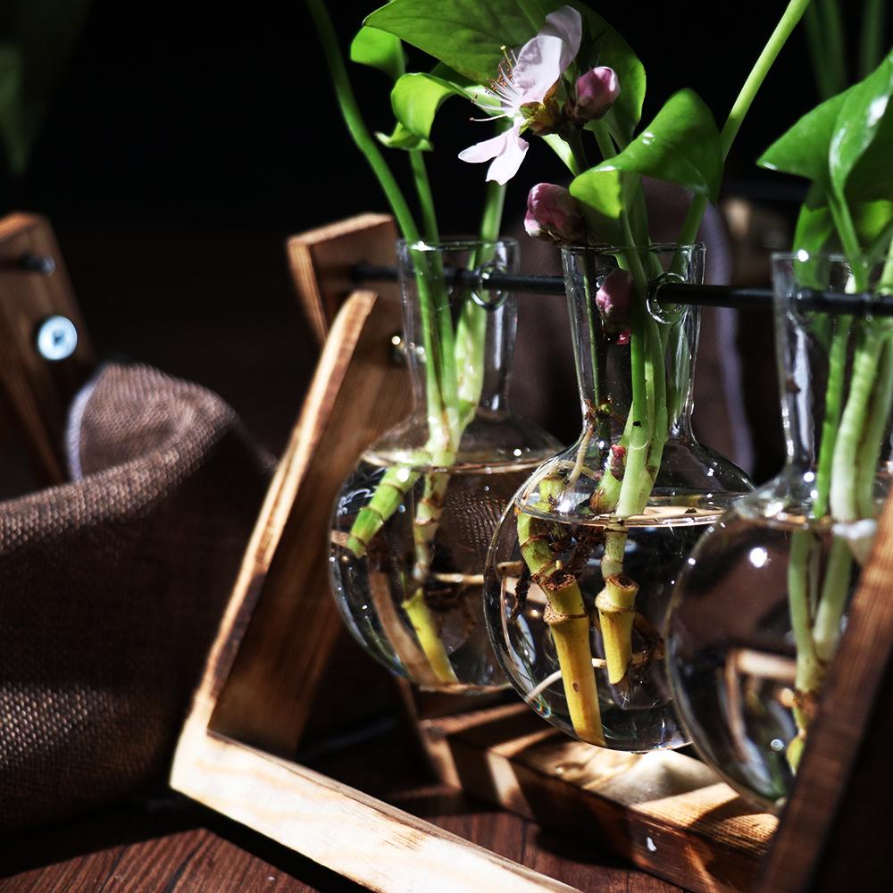 Vintage Glass Vase Transparent Hydroponic Plant Vase with with Wooden Stand for Tabletop Home Decor