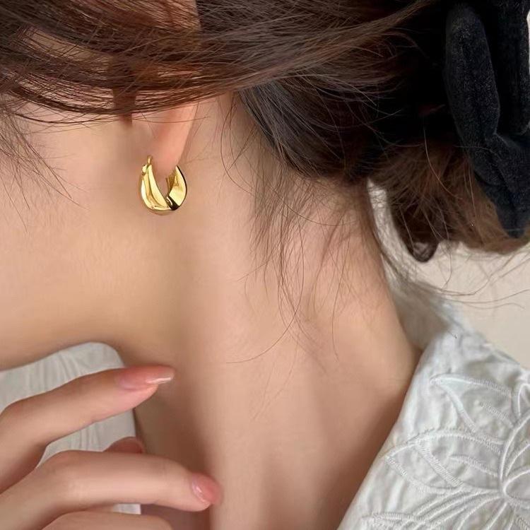 925 Sterling Silver Hoop Earrings: New 2023 Luxury Style Women's Studs with High-End Feel