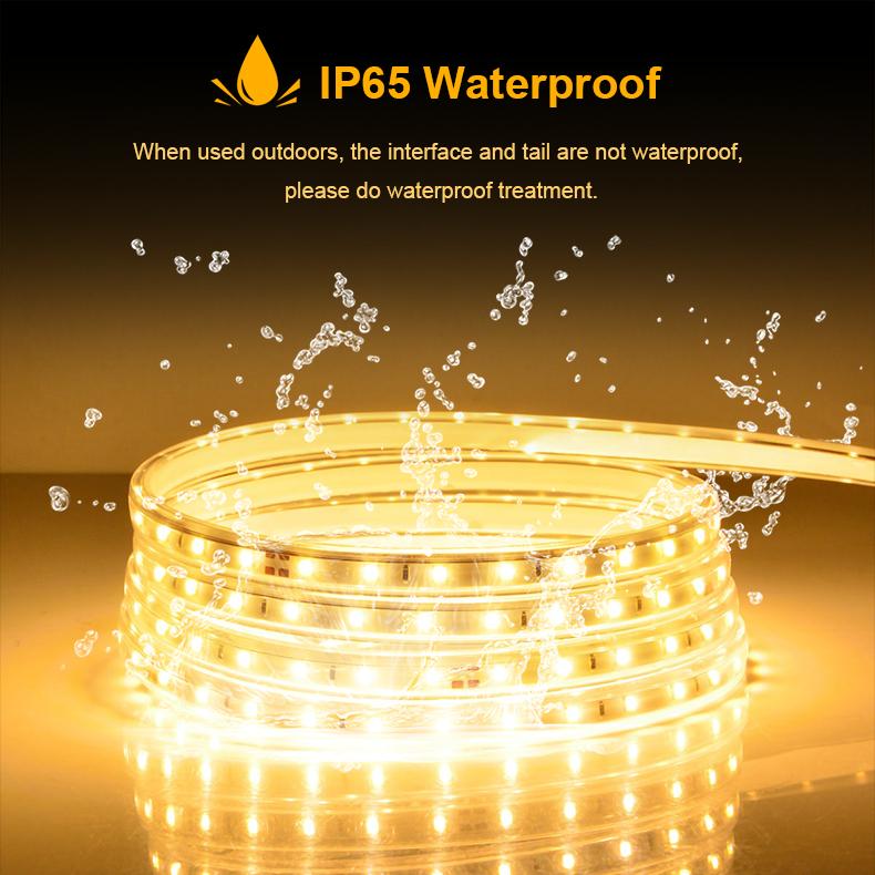 SMD2835 AC220V LED Strip Flexible Light 60LEDs/M Waterproof LED Tape LED Light With EU Plug