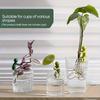 Plant Breeding Station Set - Soft Irregularly Shaped Cuttings with Sprouting Holders - Ideal Indoor Gardening Tool Kit - Perfect Gift for Plant Lovers