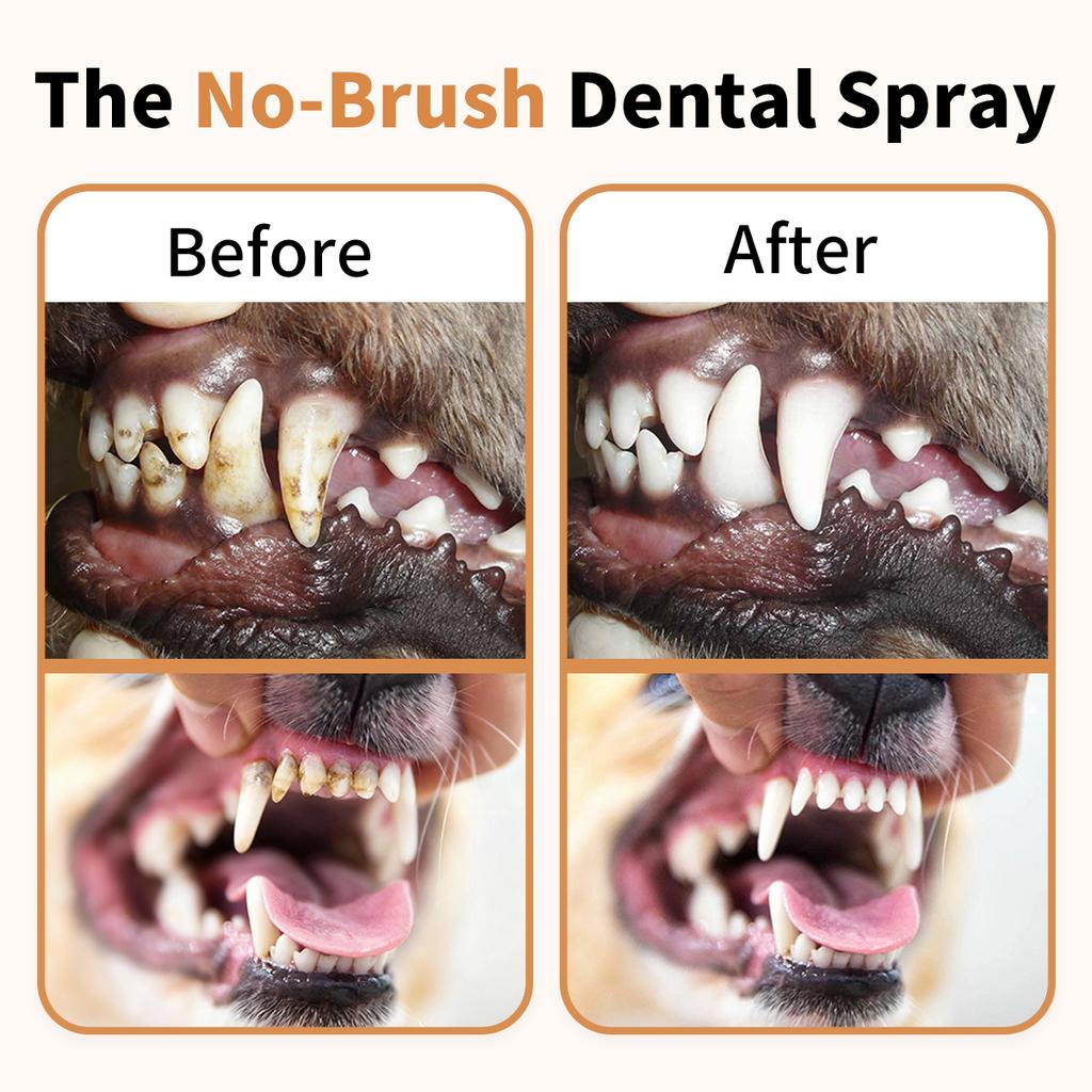 GJYC PET Beef Flavor Pet Oral Fresh Spray Cleanses Teeth Freshens Breath Removes Odors Dental Care For Dogs Cats