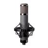 TF22CA Large Diaphragm Condenser Microphone with Sound Card for Live Broadcast and Recording
