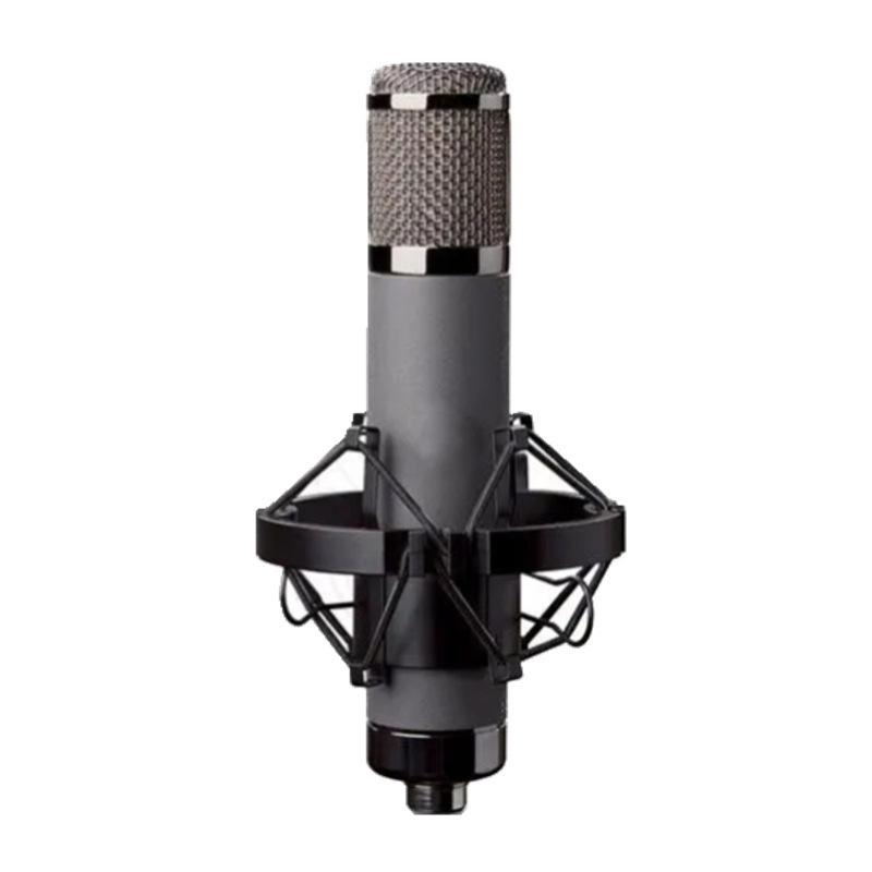 TF22CA Large Diaphragm Condenser Microphone with Sound Card for Live Broadcast and Recording