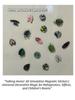 Green refrigerator stickers for home decoration. Interesting home decorations can give people small gifts