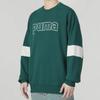 Men's PUMA Sweatshirts Men's Green Crew Neck Moderate Other