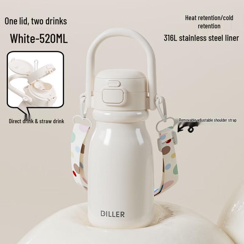 Dilebel Portable Insulated Straw Water Bottle