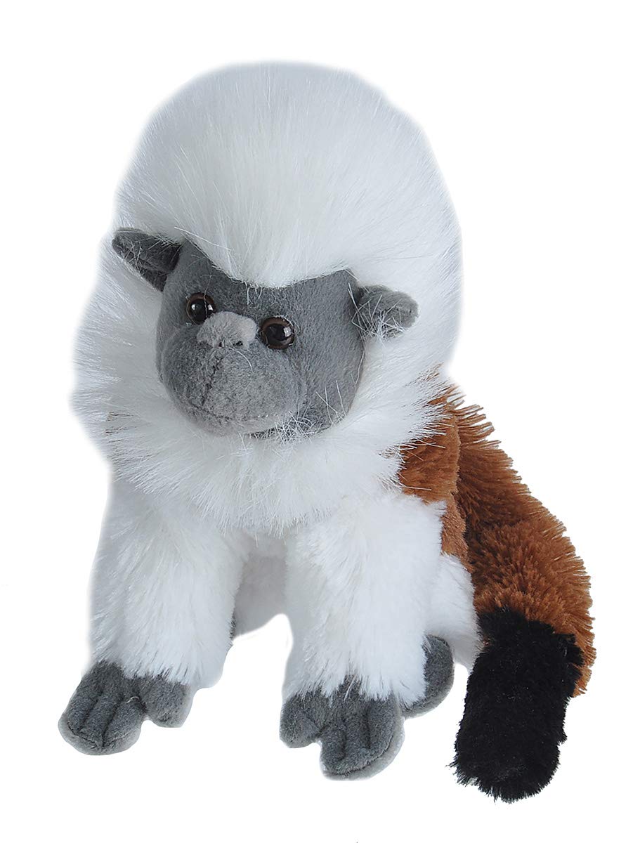 

Wild Republic Cotton Top Tamarin Plush Stuffed Animal Toy, Cuddly Gift for Kids, 8-Inch