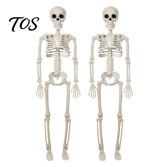 Standing Skeleton for Horror Atmosphere Halloween Decoration, 3Ft Life Size Full Body Human Bone, Realistic Posable Simulation Bone Structure
