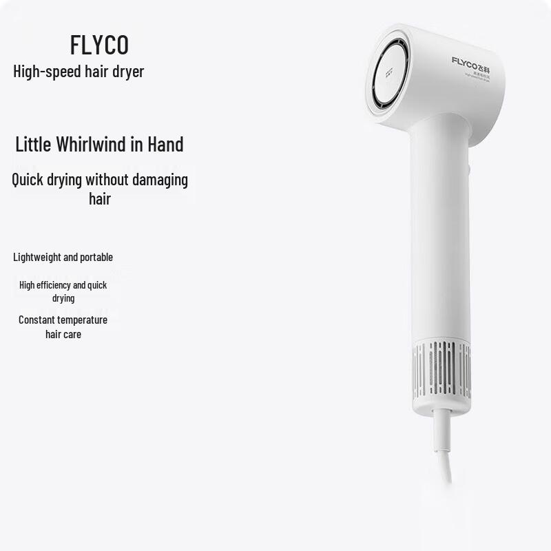 FLYCO High-Speed Negative Ion Hair Dryer CN plug (adapter included)