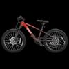 Ninebot 20-inch Ultralight All-Terrain Kids Bike