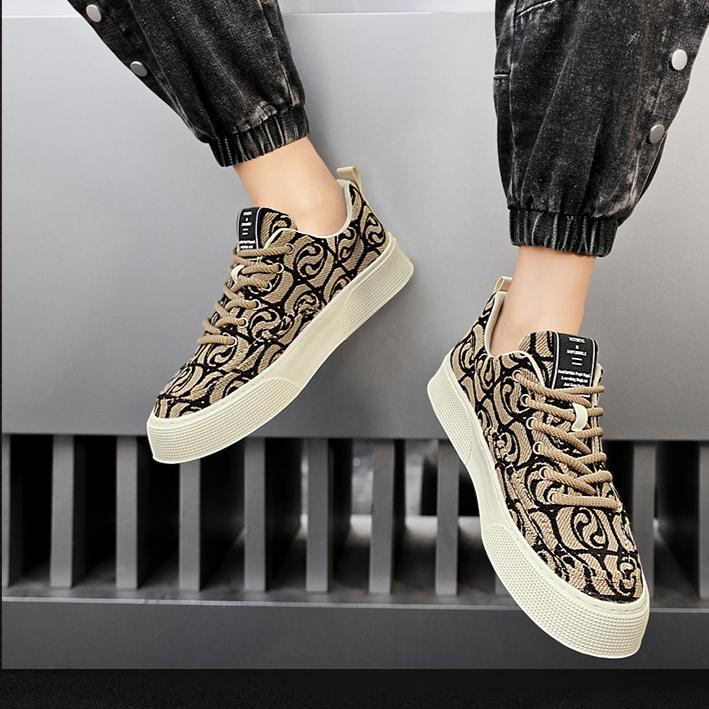 Canvas Shoes Men's Low Top Summer 2025 New Item Niche Low Top Printed Board Shoes Men's Thick Soled Sports and Leisure Trendy Shoes